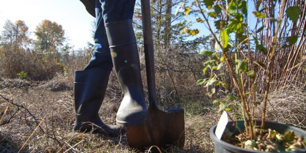 Earth Day Volunteer Events