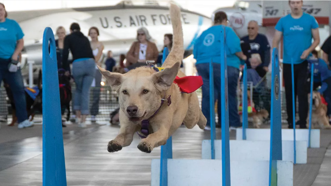 Seattle FlyDogs at Museum of Flight